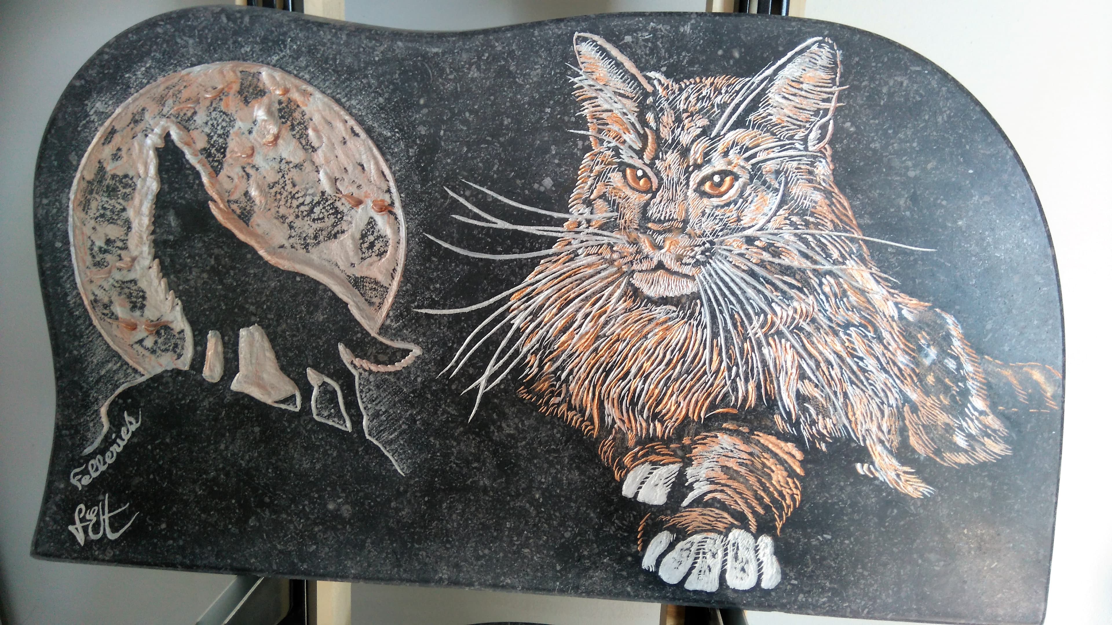 Loup hurlant à la lune, et Mainecoon