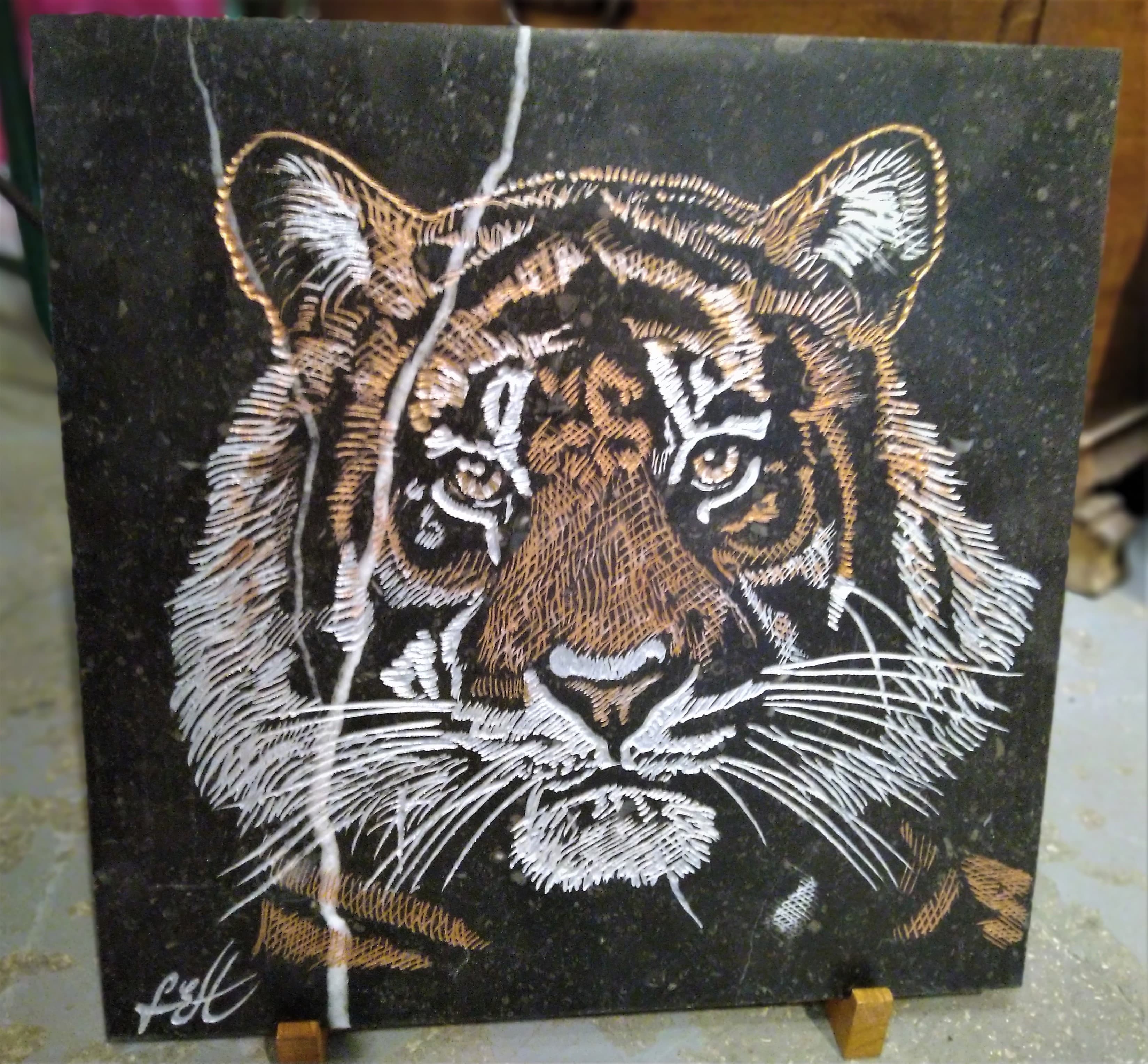 Tigre