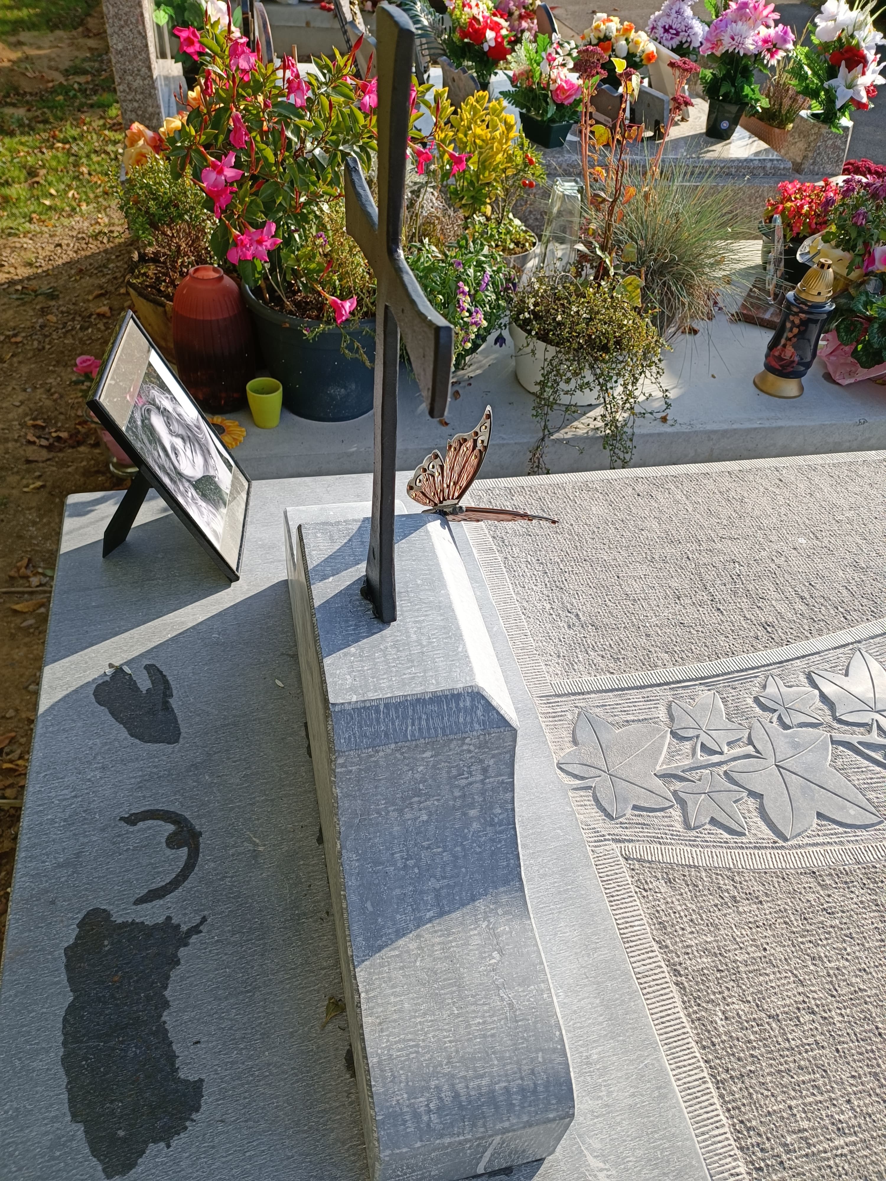 Monument tombale bombée gravure Lierre