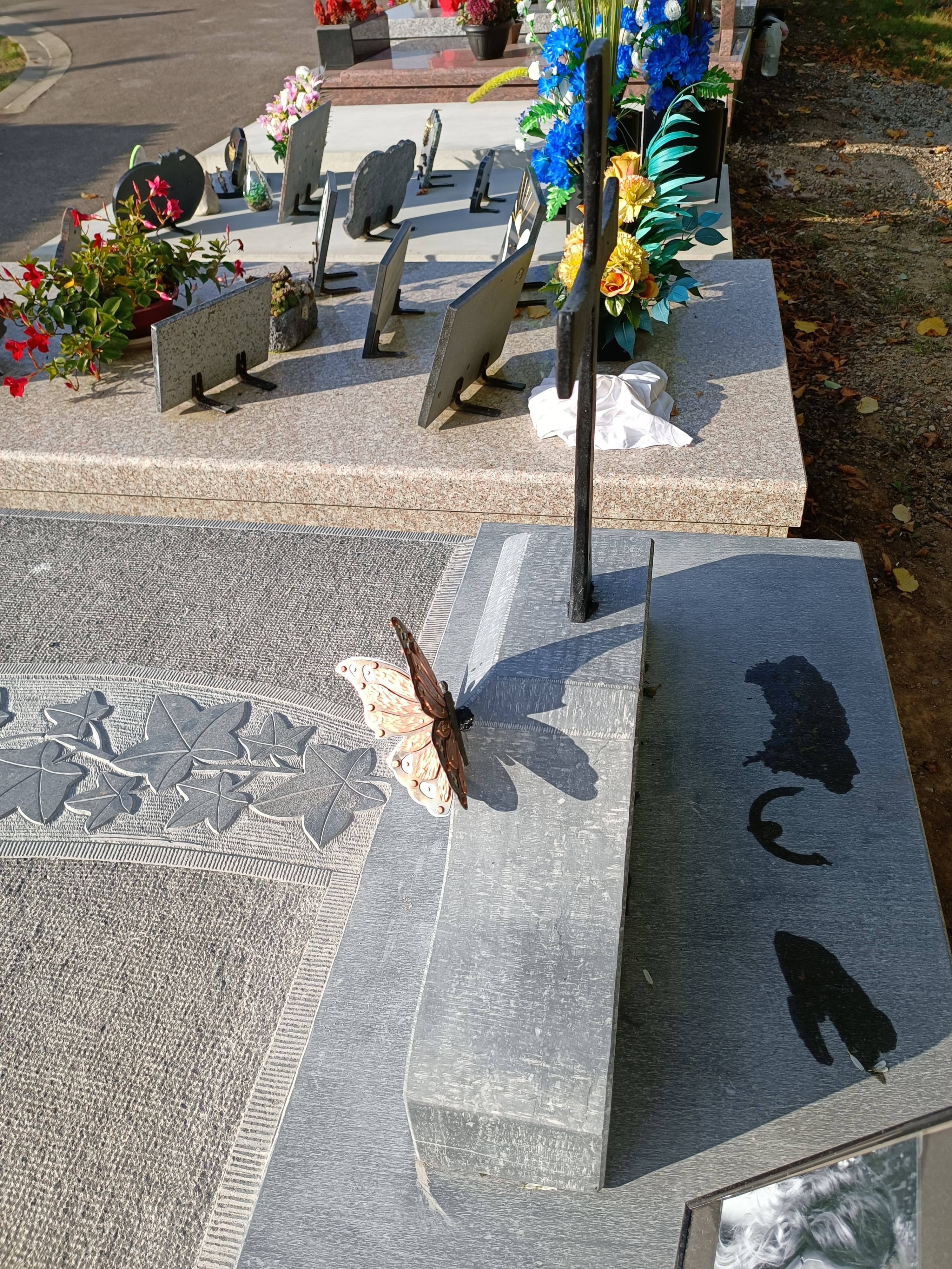 Monument tombale bombée gravure Lierre