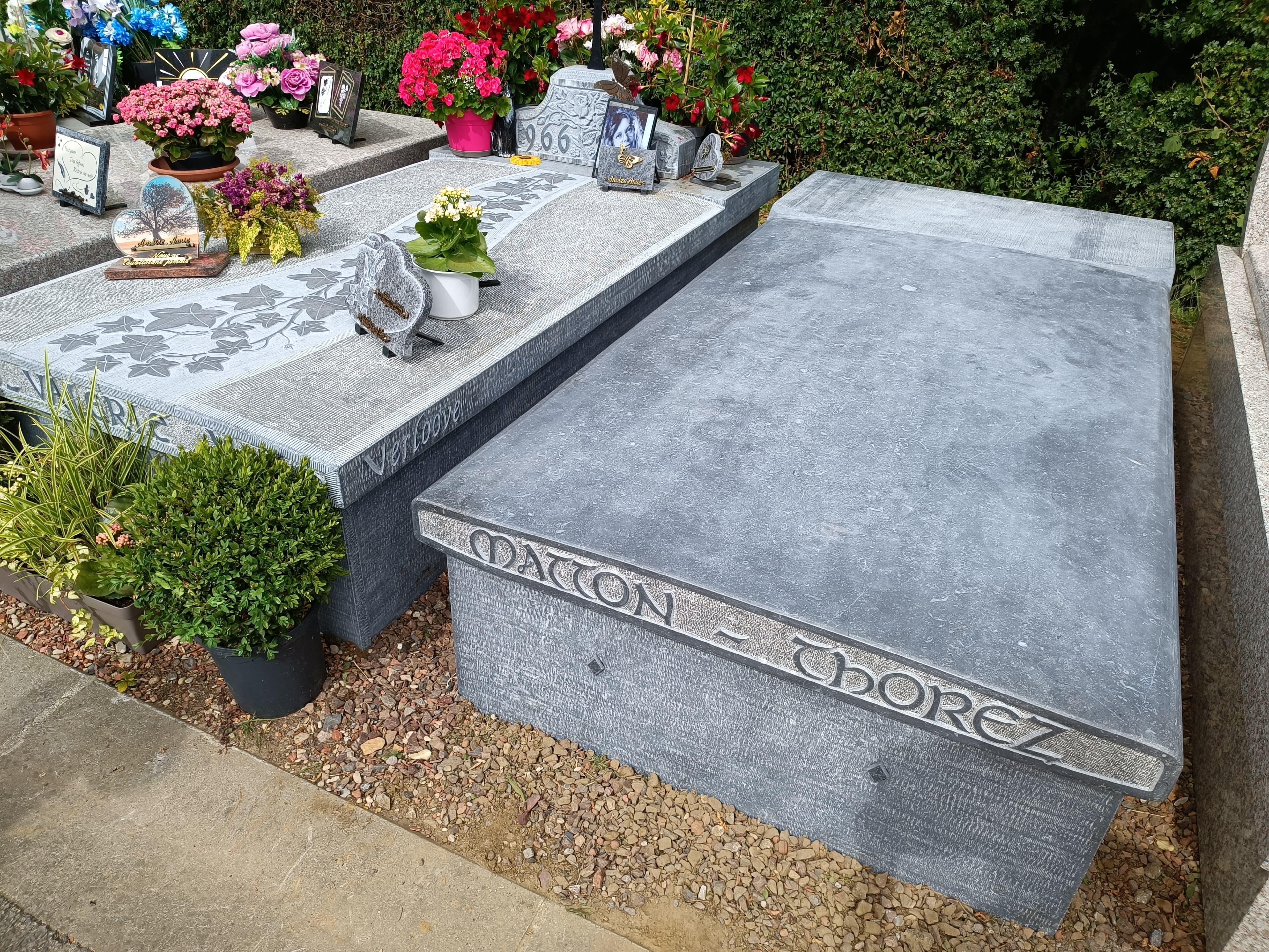 Monument tombale bombée gravure Lierre