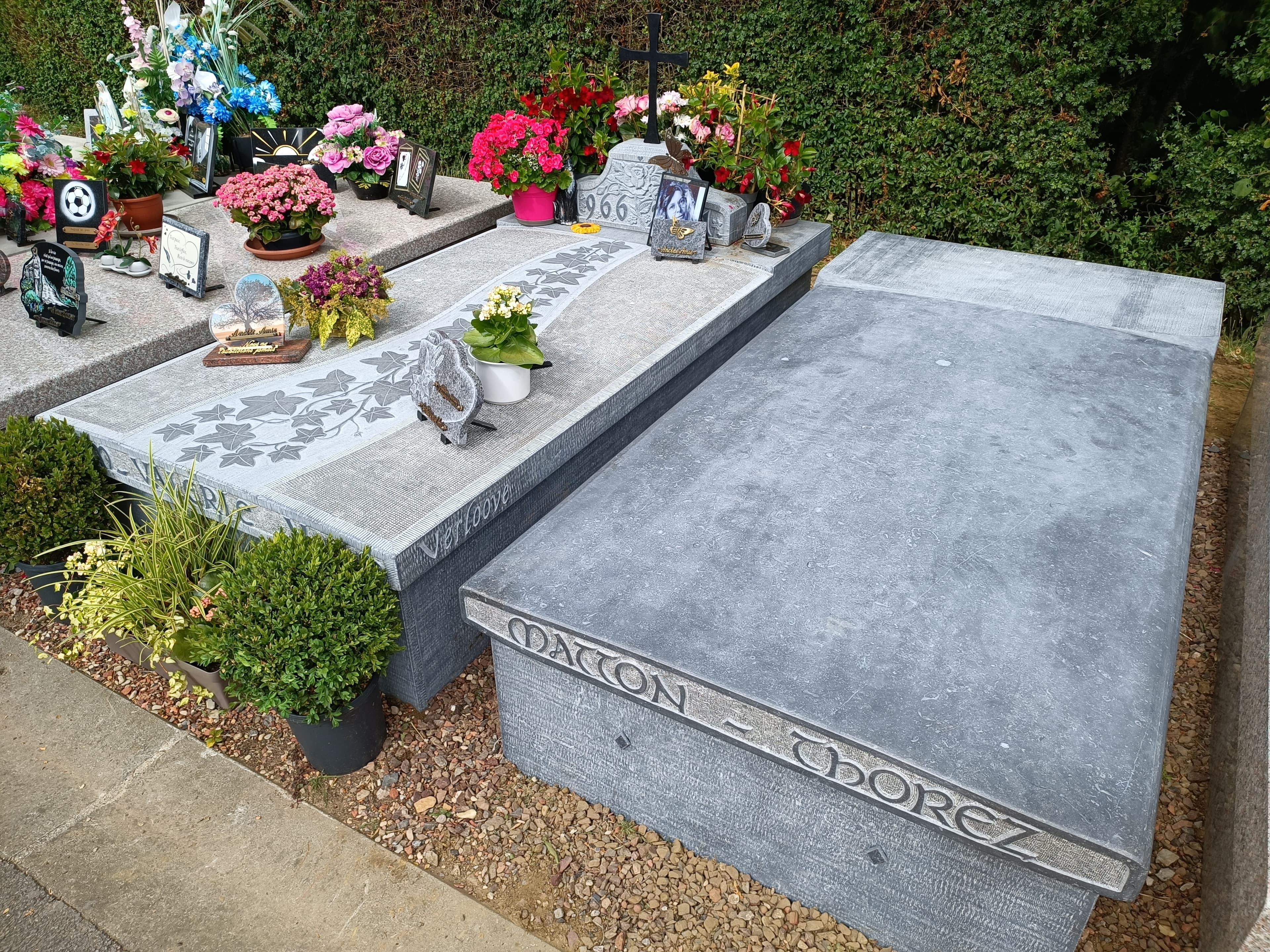 Monument tombale bombée gravure Lierre