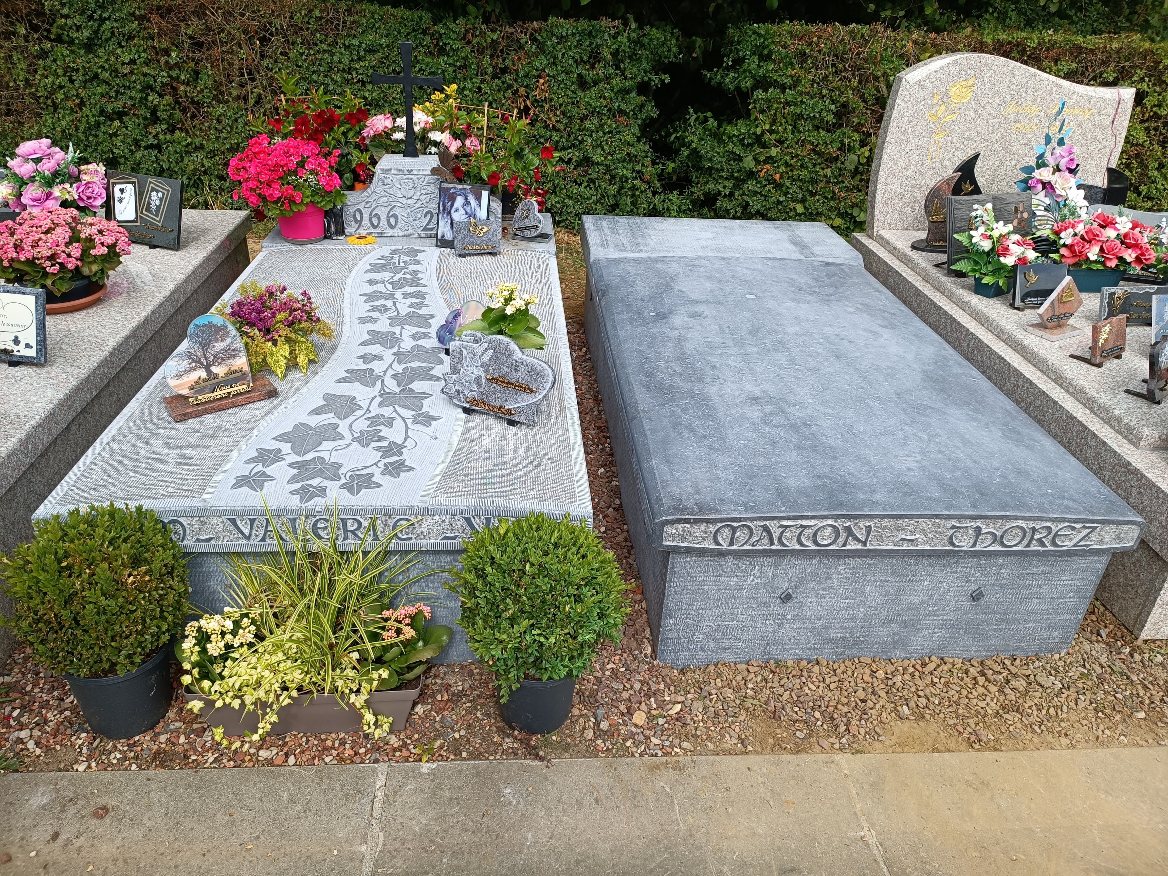Monument tombale bombée gravure Lierre