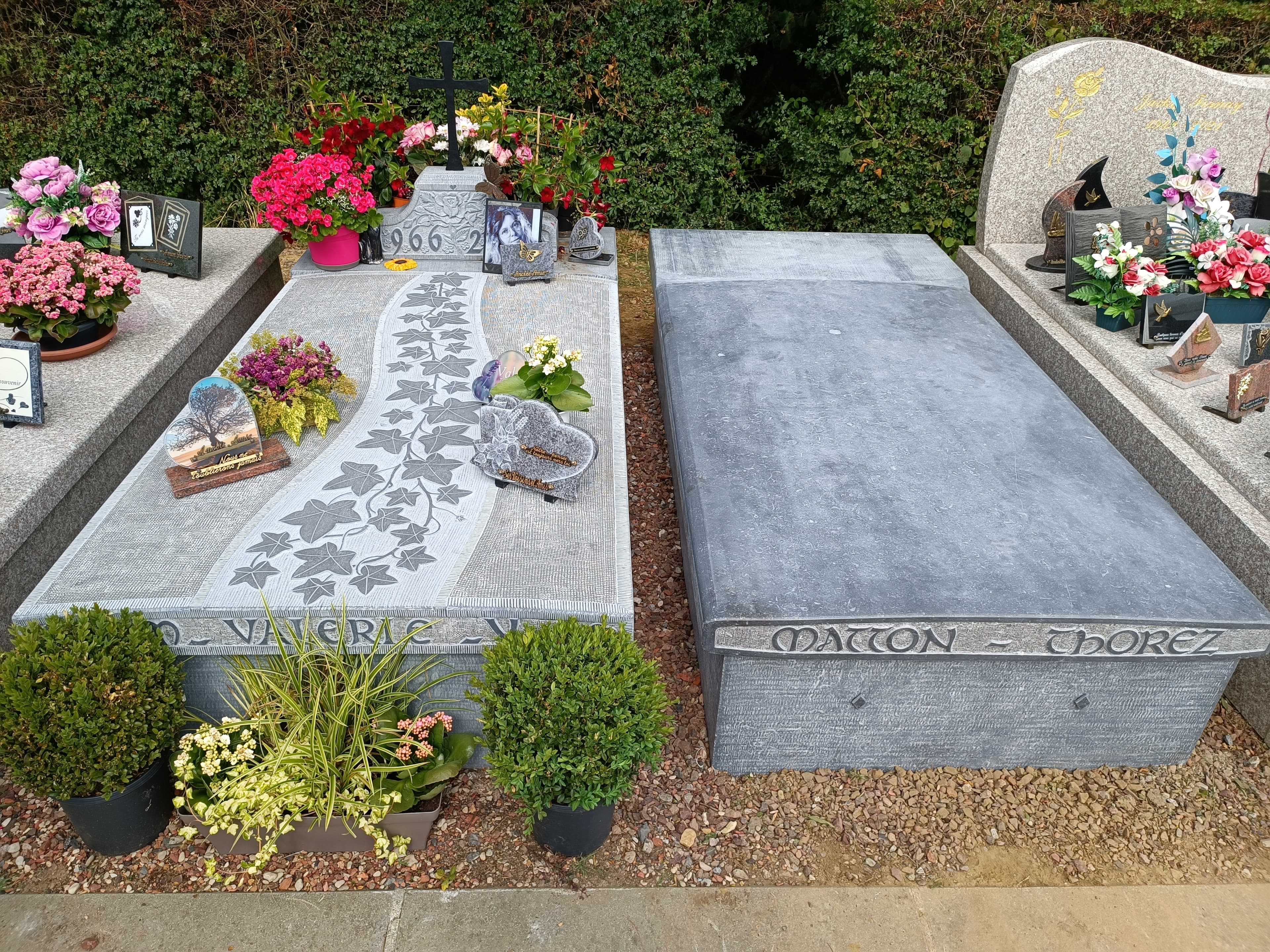 Monument tombale bombée gravure Lierre