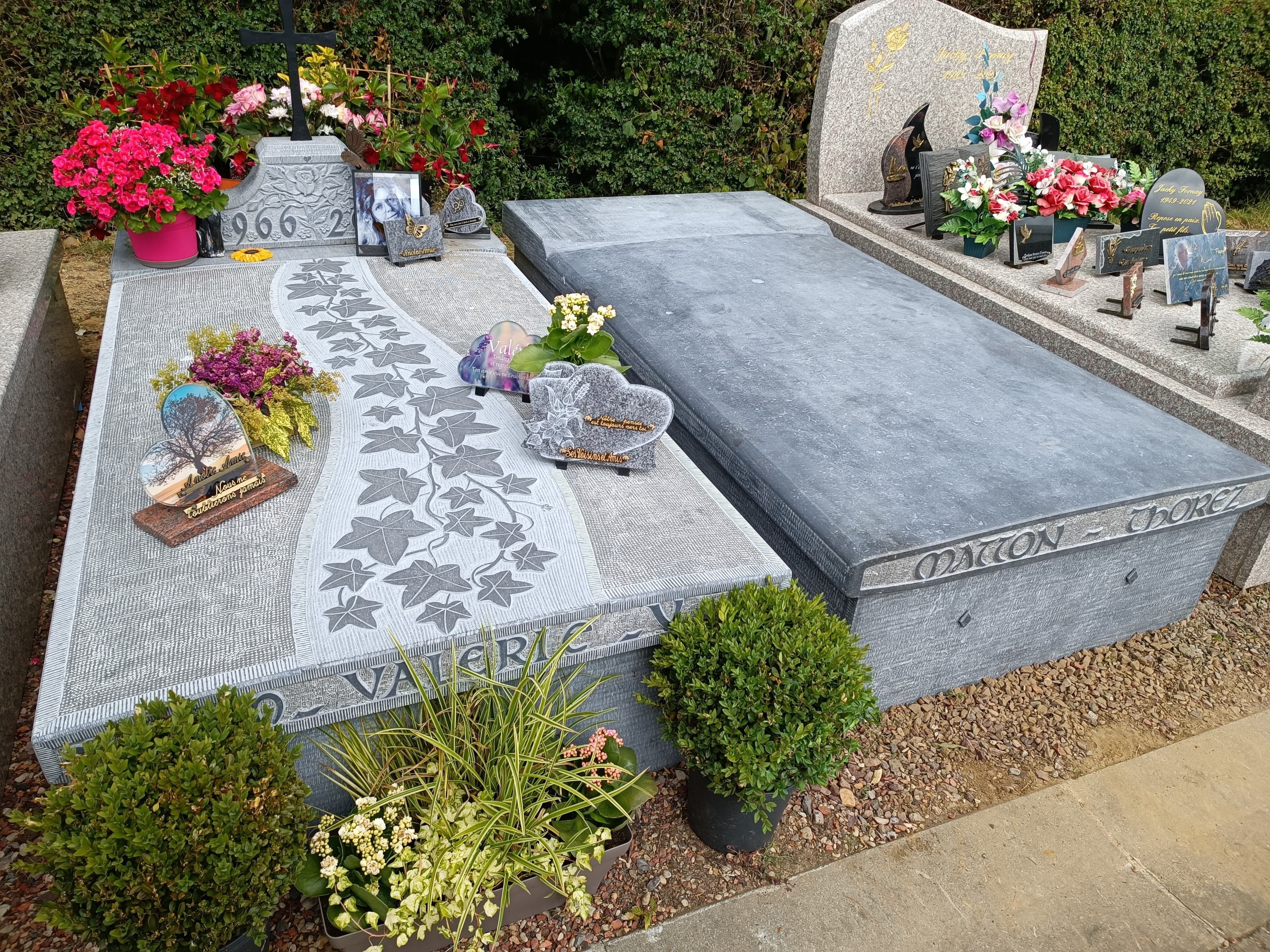 Monument tombale bombée gravure Lierre