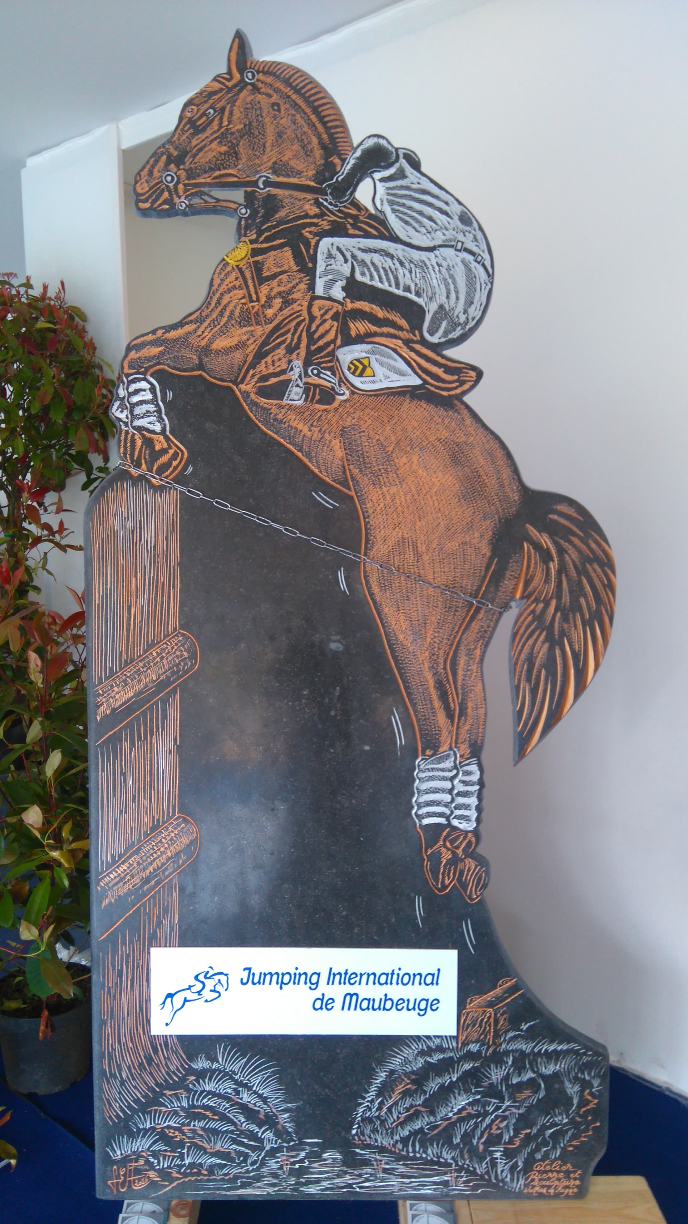 Cheval Hauteur 2,25 m