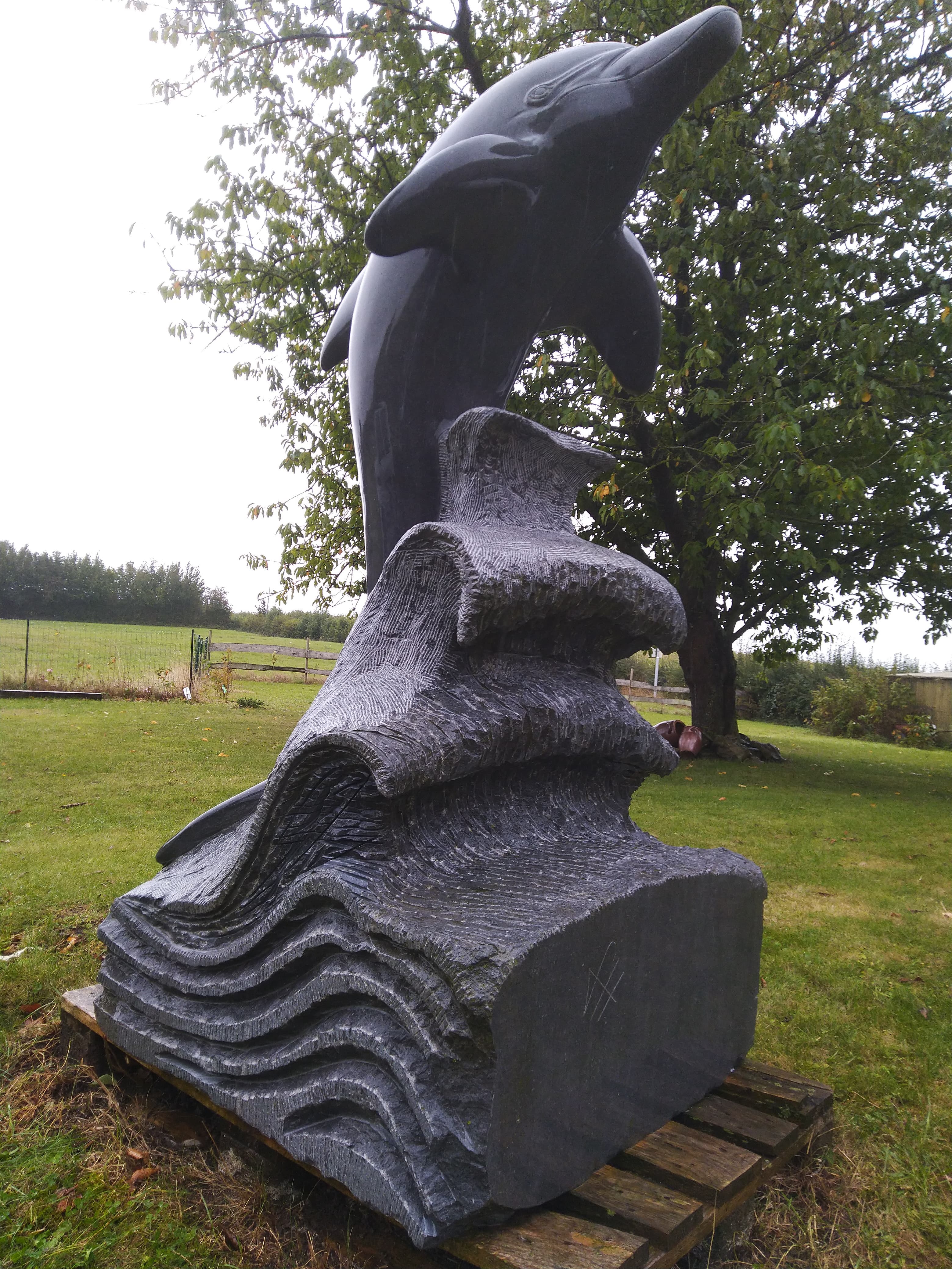 Dauphin Pierre d'Irlande