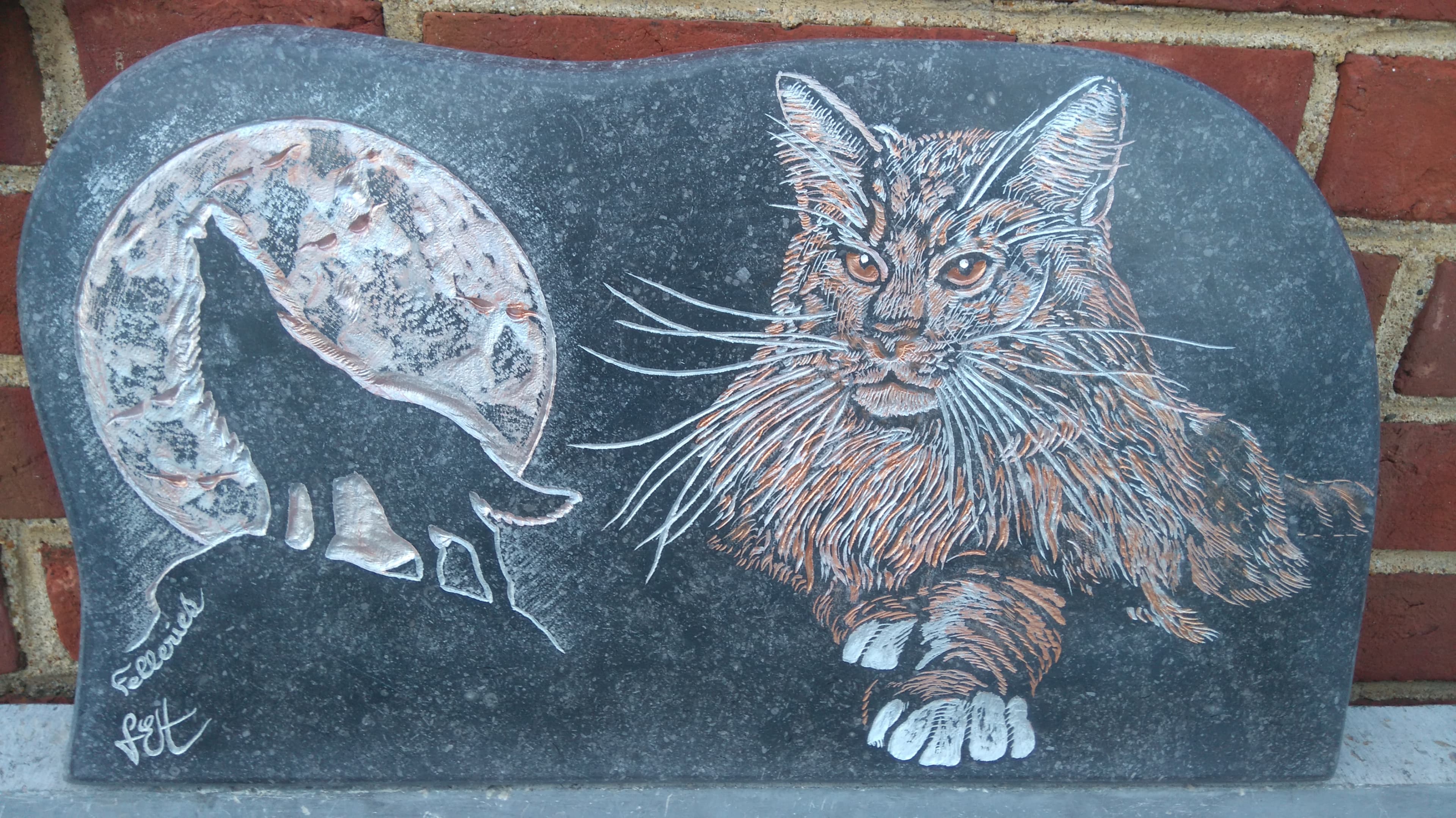 Mainecoon et Loup