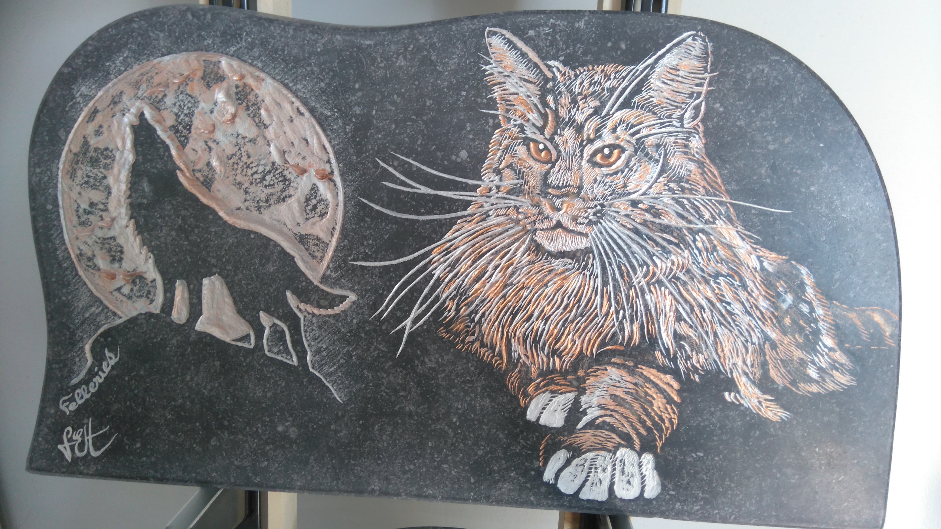 Mainecoon et Loup