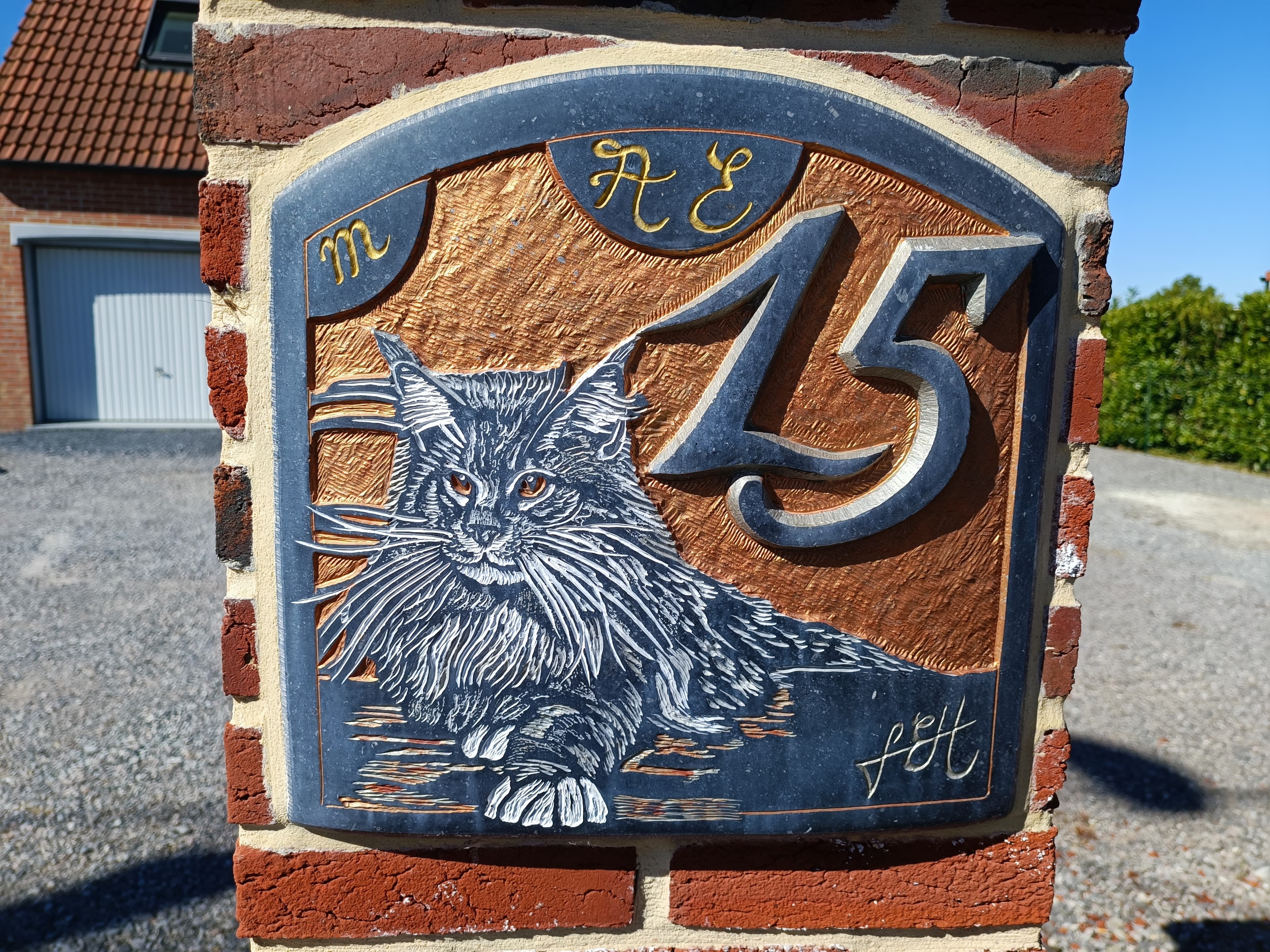 Numéro 15, et Chat Maine Coon