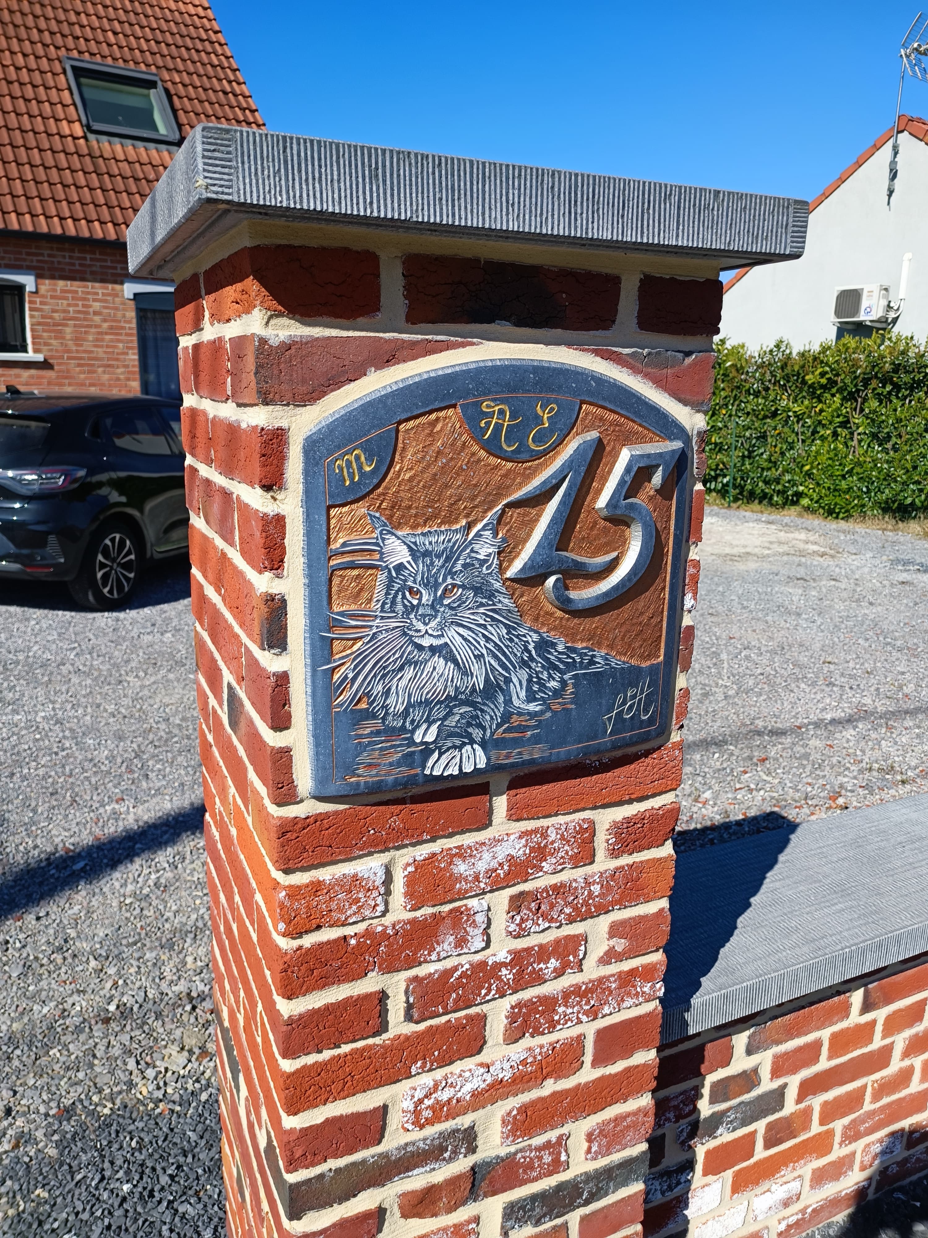 Numéro 15, et Chat Maine Coon