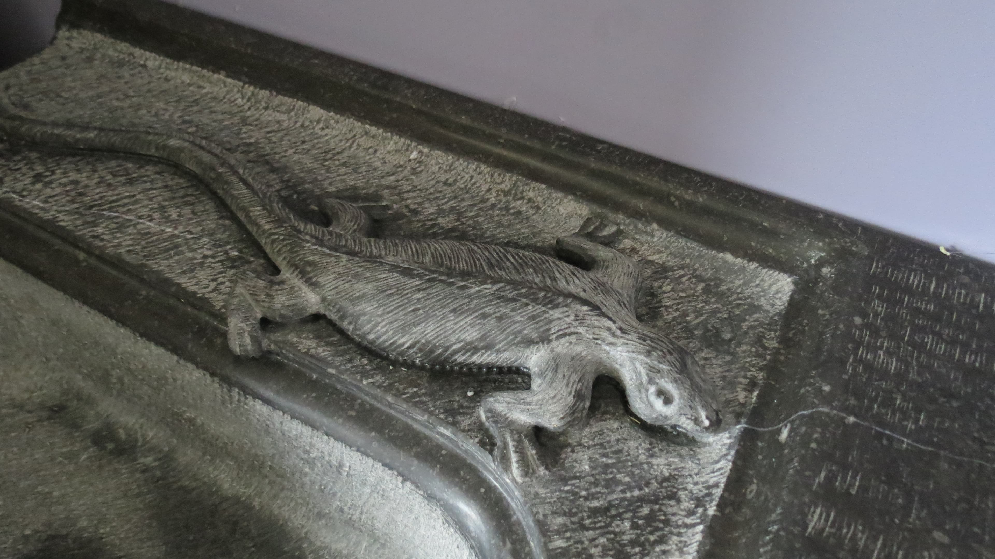 Salamandre